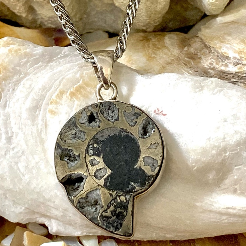 Ammonite in Iron Pyrite Fossil Sterling Silver Pendant